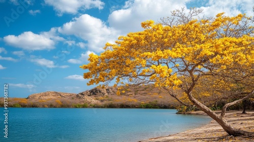 Curacao's scenery features Brasil flowers. photo