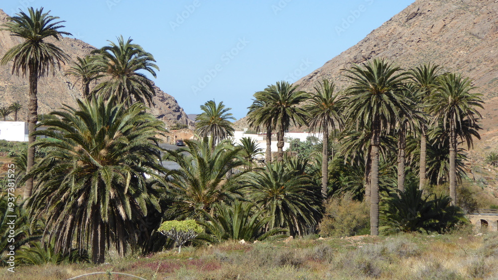 Oasis in the desert Oasis in the desert