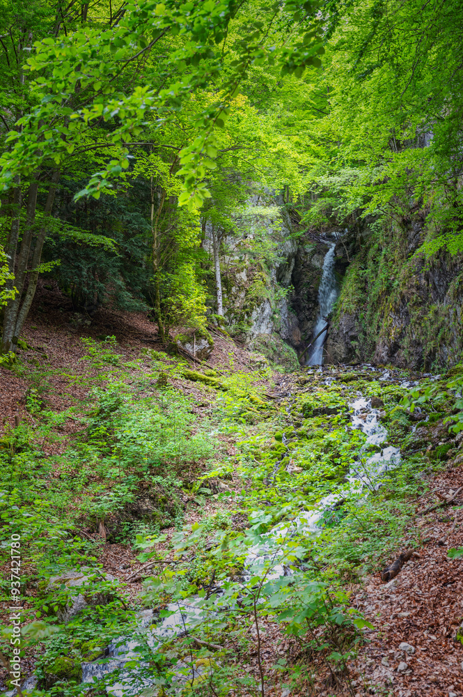 Obraz premium Torrent du Jura, cours d'eau de montagne impétueux