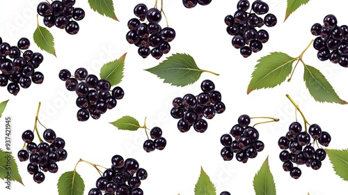 A lot of elderberry pattern isolated on white background photo realistic photo realistic hd 4k ultra hd. 