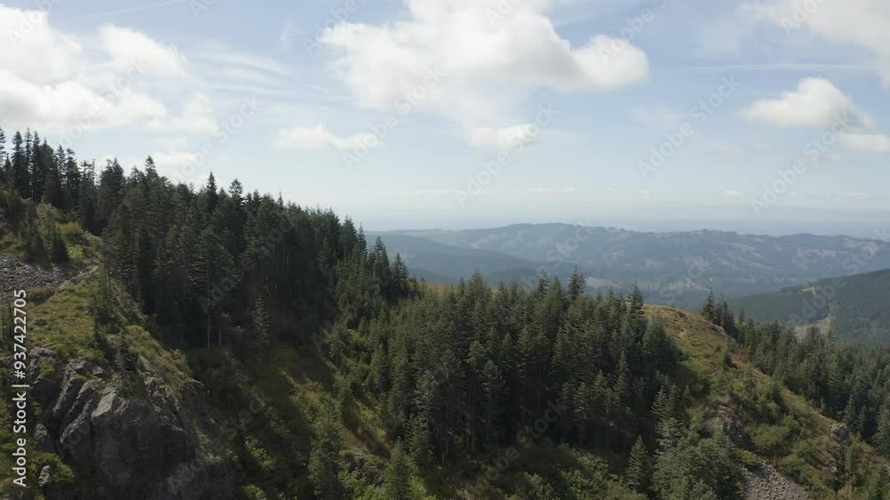 Aerial dolly over patches of evergreen forest stand on grassy mountain side reveals rest of Silver Star Mountain Washington Cascades Aerial dolly over patches of evergreen forest stand on grassy mountain side reveals rest of Silver Star Mountain Washington Cascades