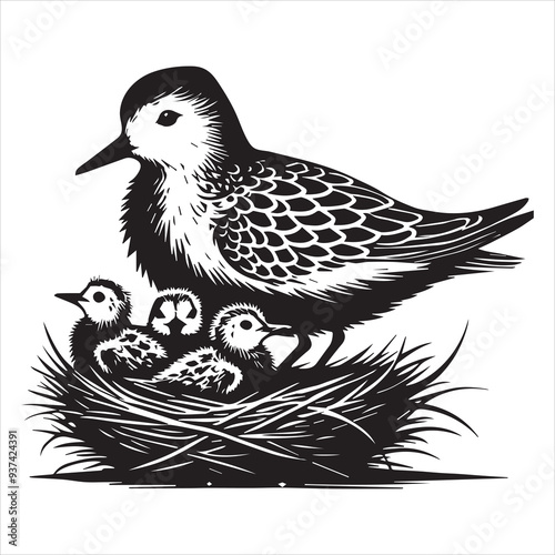 Sanderling Silhouette - Sanderling Bird Clipart,  Calidris alba Design,  sanderling nesting chicks underneath Illustration in black and white