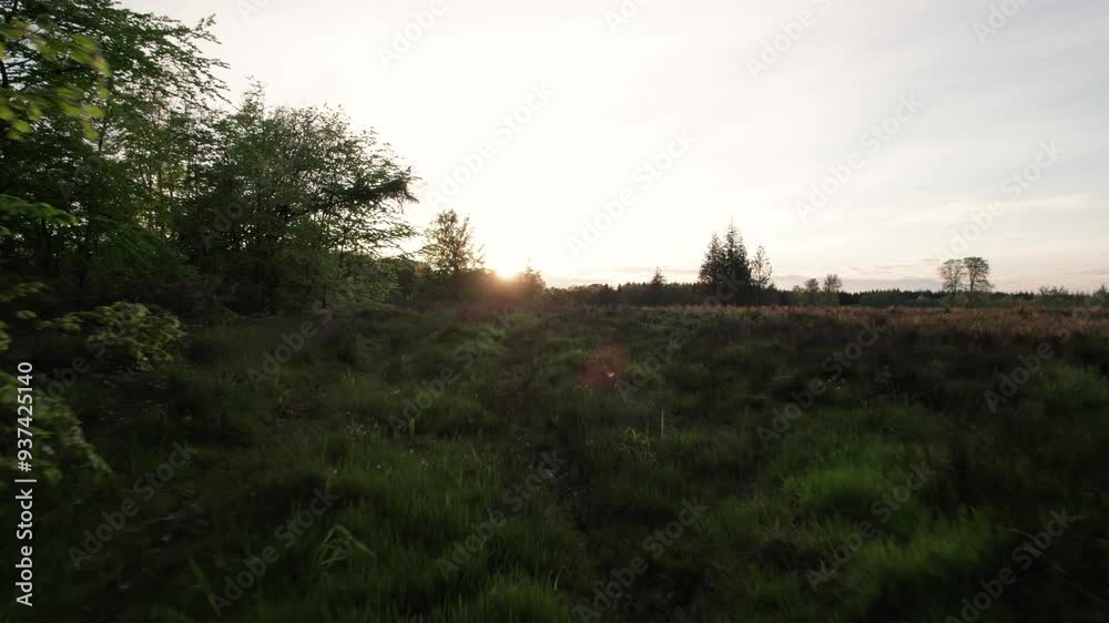 Drone flying close to ground over field amongst trees, Denmark Drone flying close to ground over field amongst trees, Denmark