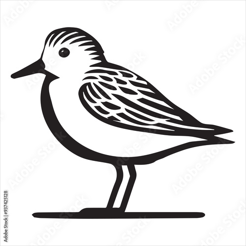 Sanderling Silhouette - Sanderling Bird Clipart,  Calidris alba Design, Sanderling standing still Illustration in black and white
