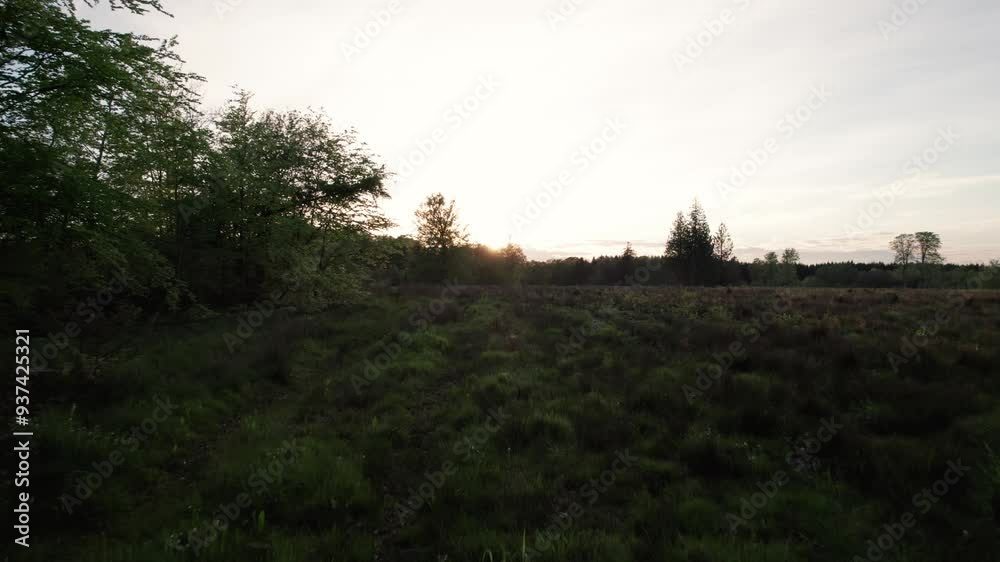 Beautiful green fields of agricultural countryside at sunset Beautiful green fields of agricultural countryside at sunset