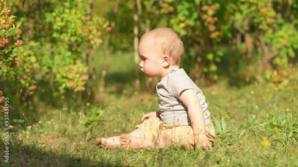A young child seats in a field, surrounded by wildflowers and the warm glow of the setting sun. A young child seats in a field, surrounded by wildflowers and the warm glow of the setting sun.