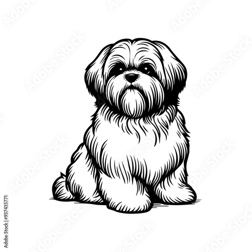 Shih Tzu  Designs, Shih Tzu Dog Clipart, Cute Puppy SVG PNG, Cricut Files for Pets, Dog Lover Vector, Shih Tzu Silhouette