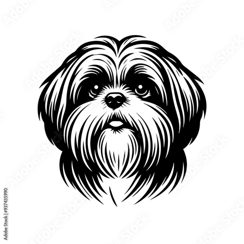 Shih Tzu  Designs, Shih Tzu Dog Clipart, Cute Puppy SVG PNG, Cricut Files for Pets, Dog Lover Vector, Shih Tzu Silhouette