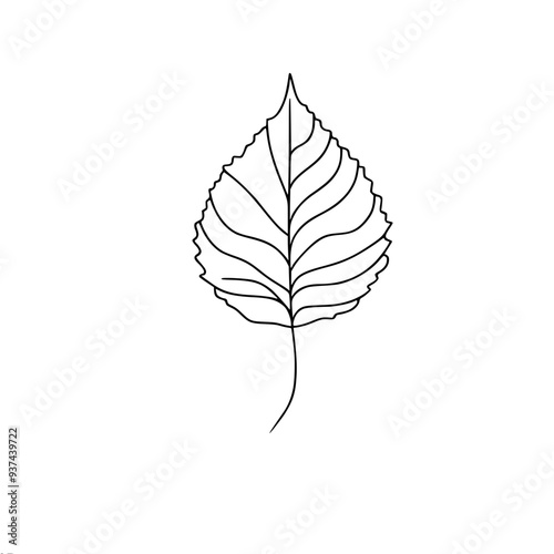 simple linear vector natural neat birch leaf pattern