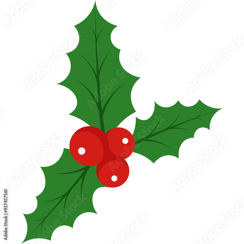 Christmas Holly Berries Illustration