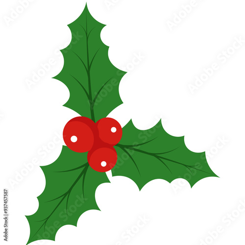 Christmas Holly Berries Illustration
