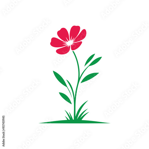 pink flower isolated on white background