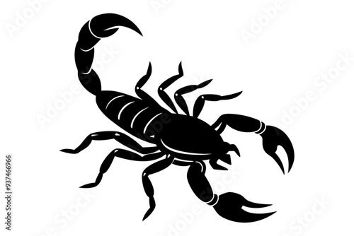 Scorpion silhouette, scorpion animal silhouette vector illustration