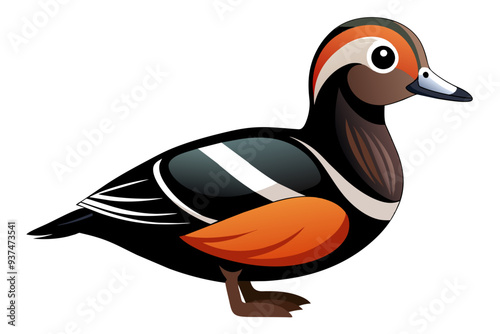 Cute harlequin duck bird icon vector art illustration