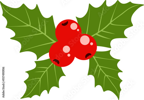 Chistmas Holly Berries
