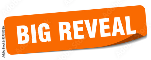 BIGREVEALrectangRoundedStickerOrange.eps