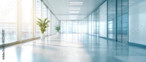 Modern and Bright Office Corridor with Natural Light Streaming Through the Windows