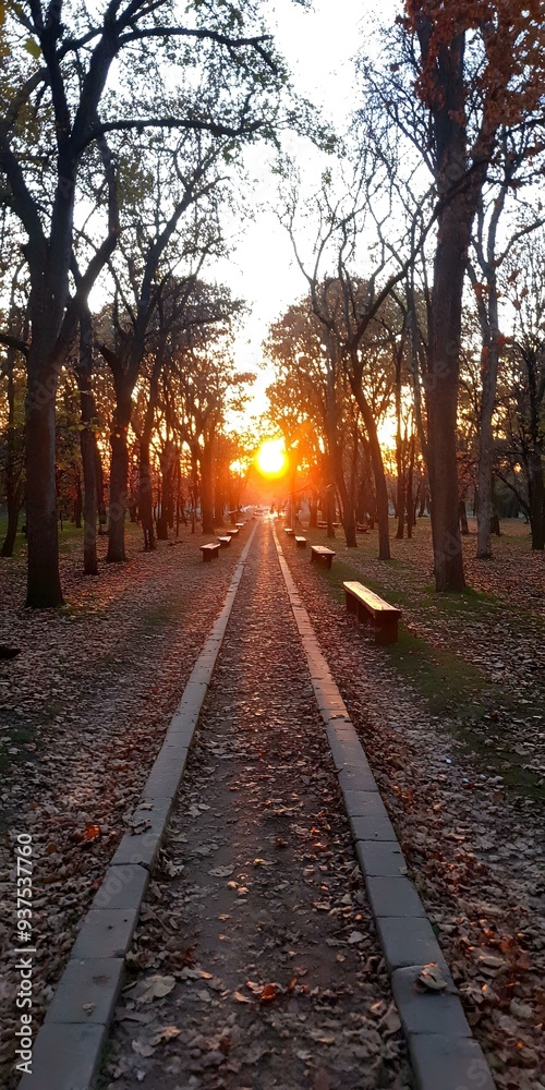 Sunset Pathway in a Park with Autumn Leaves Sunset Pathway in a Park with Autumn Leaves