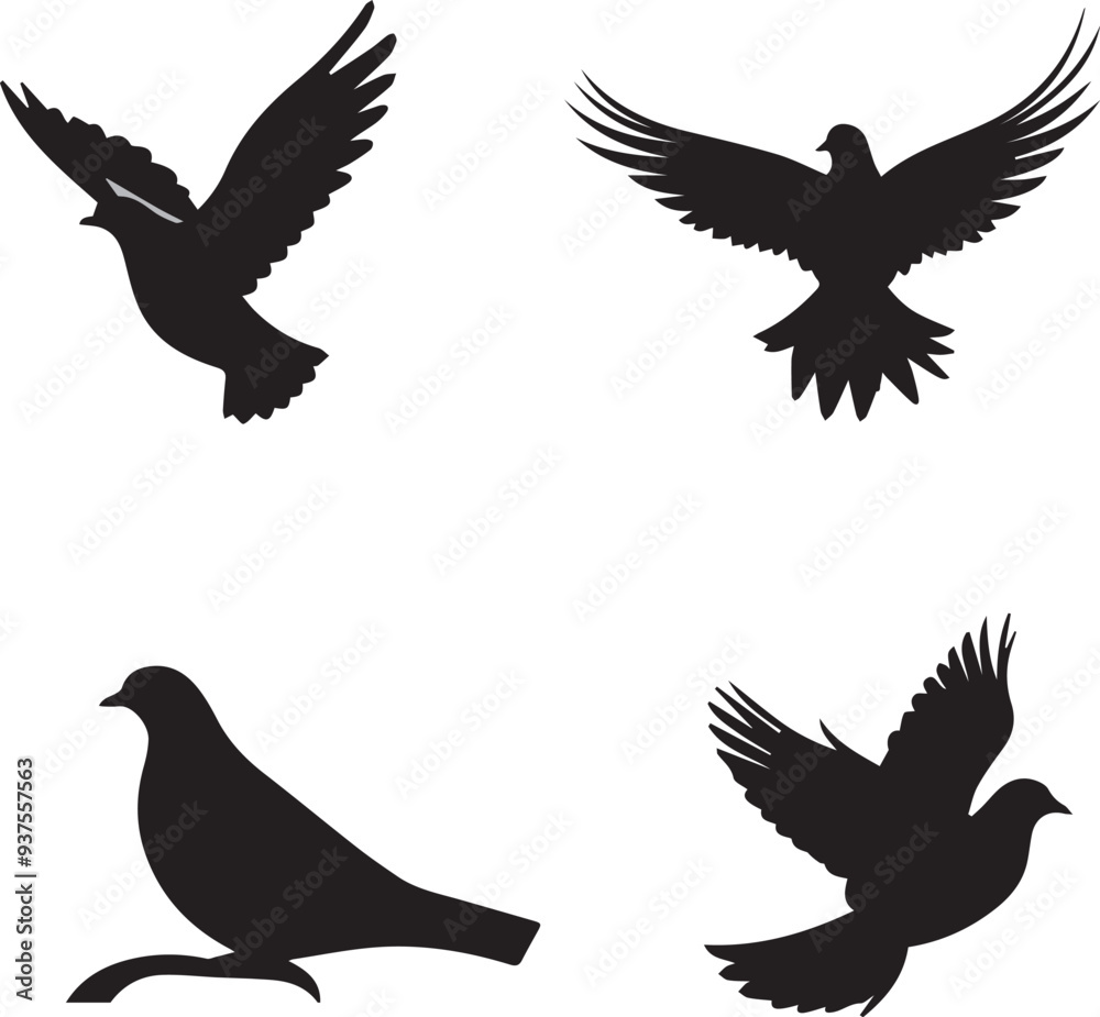Obraz premium Set of dove silhouettes on transparent background
