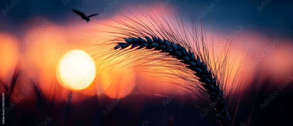 A tight shot of a flower with a bird in flight above, sun peeking beyond distant horizon A tight shot of a flower with a bird in flight above, sun peeking beyond distant horizon