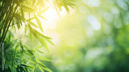 Bamboo forest and green meadow grass with natural light in blur style. Bamboos green leaves and bamboo tree with bokeh in nature forest. Nature pattern view of leaf on blurred greenery background, ai