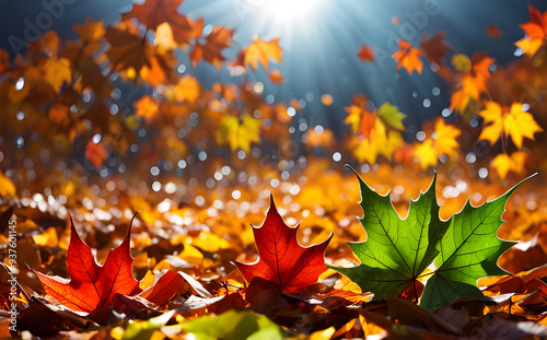 autumn leaves background