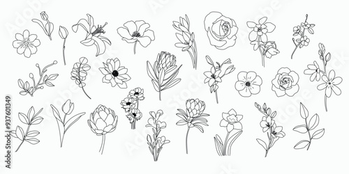 Set of hand drawn botanical flower line art vector. Collection black white contour drawing of foliage, wildflower, poppy, rose, eucalyptus. Illustration design for logo, wedding, invitation, decor.