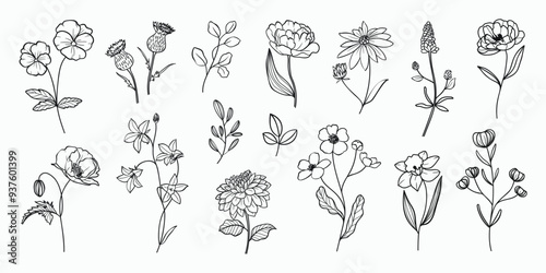 Set of hand drawn botanical flower line art vector. Collection black white contour drawing of foliage, wildflower, poppy, peony, eucalyptus. Illustration design for logo, wedding, invitation, decor.