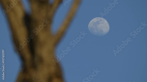 The moon rising at afternoon. dramatic 4k footage. Evening moon in the clear blue sky background