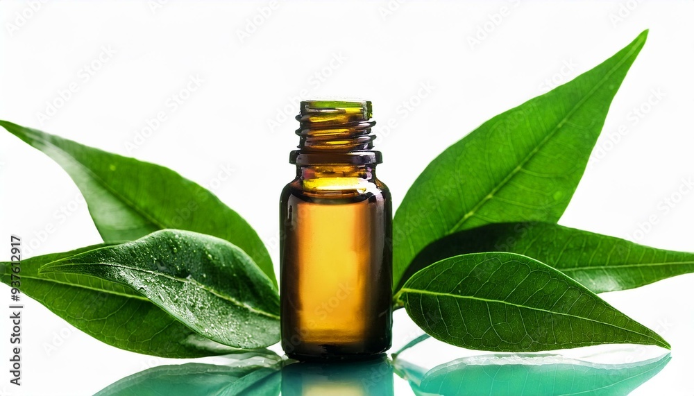 Organic Aromas: Green Leaves and Essential Oil Bottle Display Organic Aromas: Green Leaves and Essential Oil Bottle Display