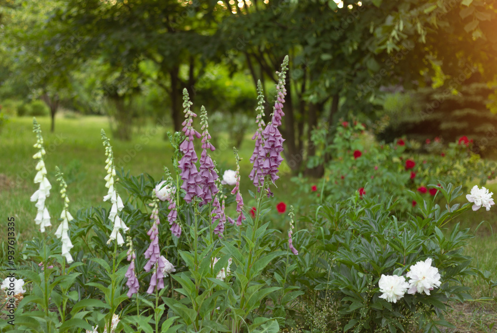 Fototapeta premium Garden of Dreams with flowers