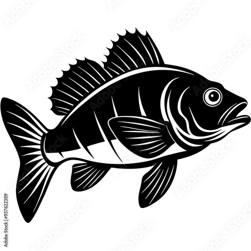climbing perch fish silhouette Vector SVG