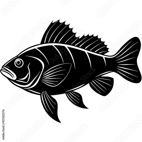 climbing perch fish silhouette Vector SVG