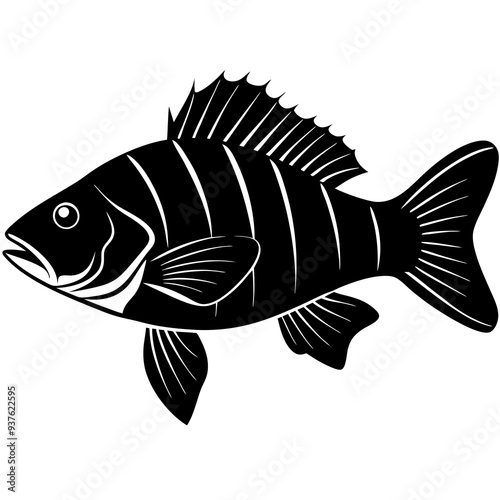 climbing perch fish silhouette Vector SVG