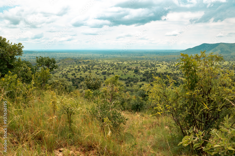 Views of Karamoja's dramatic rocky mountain landscapes seen from Mount Napak in Karamoja, Uganda
Views of Karamoja's dramatic rocky mountain landscapes seen from Mount Napak in Karamoja, Uganda