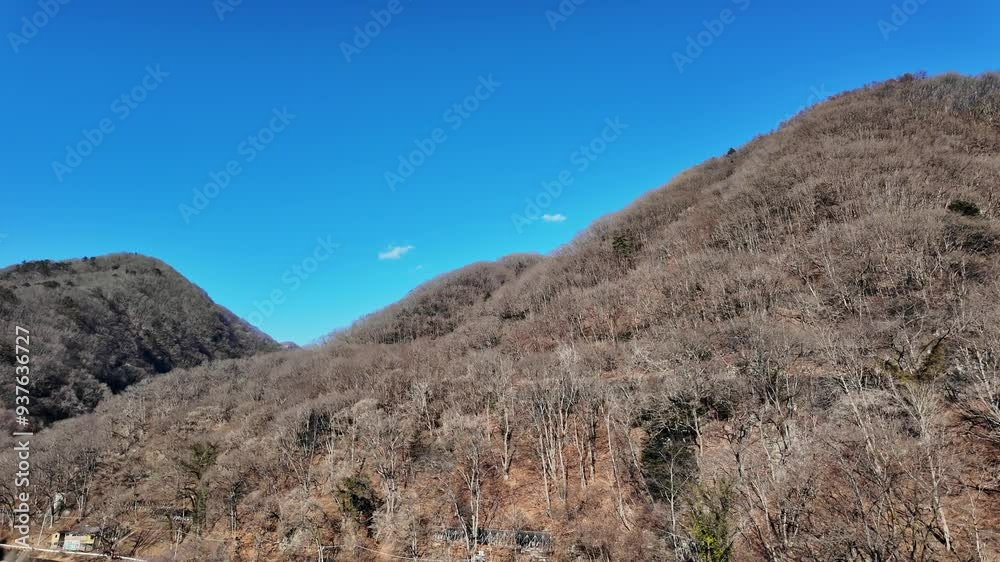 山林の風景 山林の風景