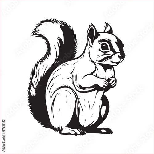 Squirrel line art vector silhouette with white Background