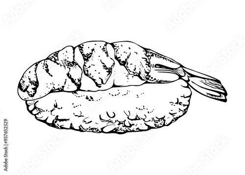 Traditional Japanese food, nigiri sushi shrimp raw fish tuna salmon, caviar topping, wasabi, unagi flakes, hand drawn in vector pen, ink. Illustration for restaurant, cafe menu, kitchen, recipe book