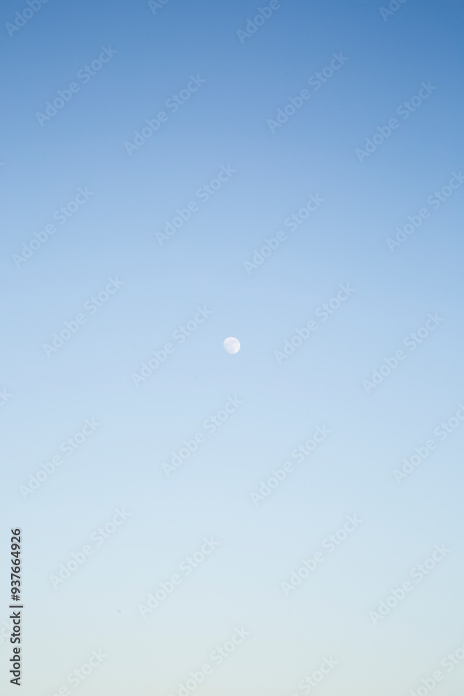 Moon Moon