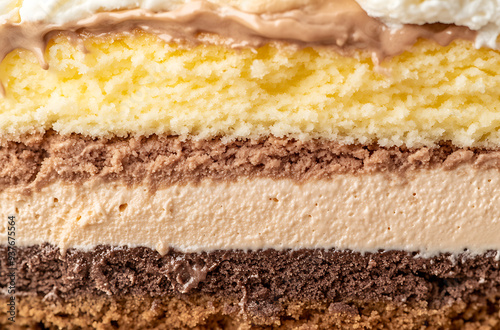 layers of a slice chocolate cake on a plate photo