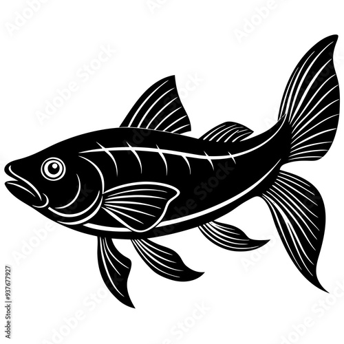 catla fish silhouette Vector