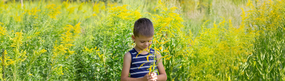 boy ambrosia allergy. Selective focus boy ambrosia allergy. Selective focus