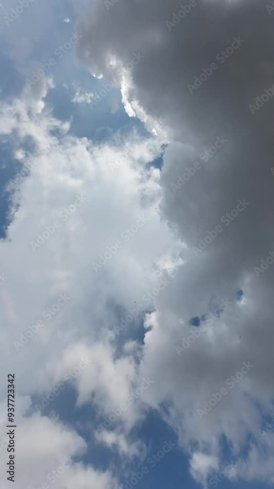 Beautiful Blue Sky With Fluffy White Clouds Timelapse Vertical Video Beautiful Blue Sky With Fluffy White Clouds Timelapse Vertical Video