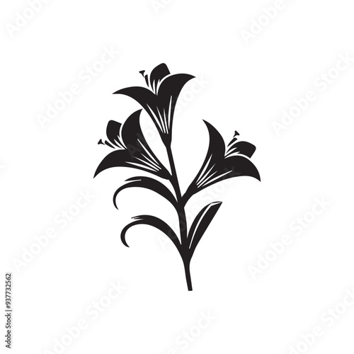 lily flower vector iabstract, art, beautiful, bloom, blossom, botanic, botanical, botany, calla lily, color, concept, design, drawing, elegance, element, fashion, femllustration on a white background.