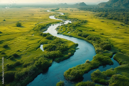 aerial view of a river delta with lush green vegetation and winding waterways