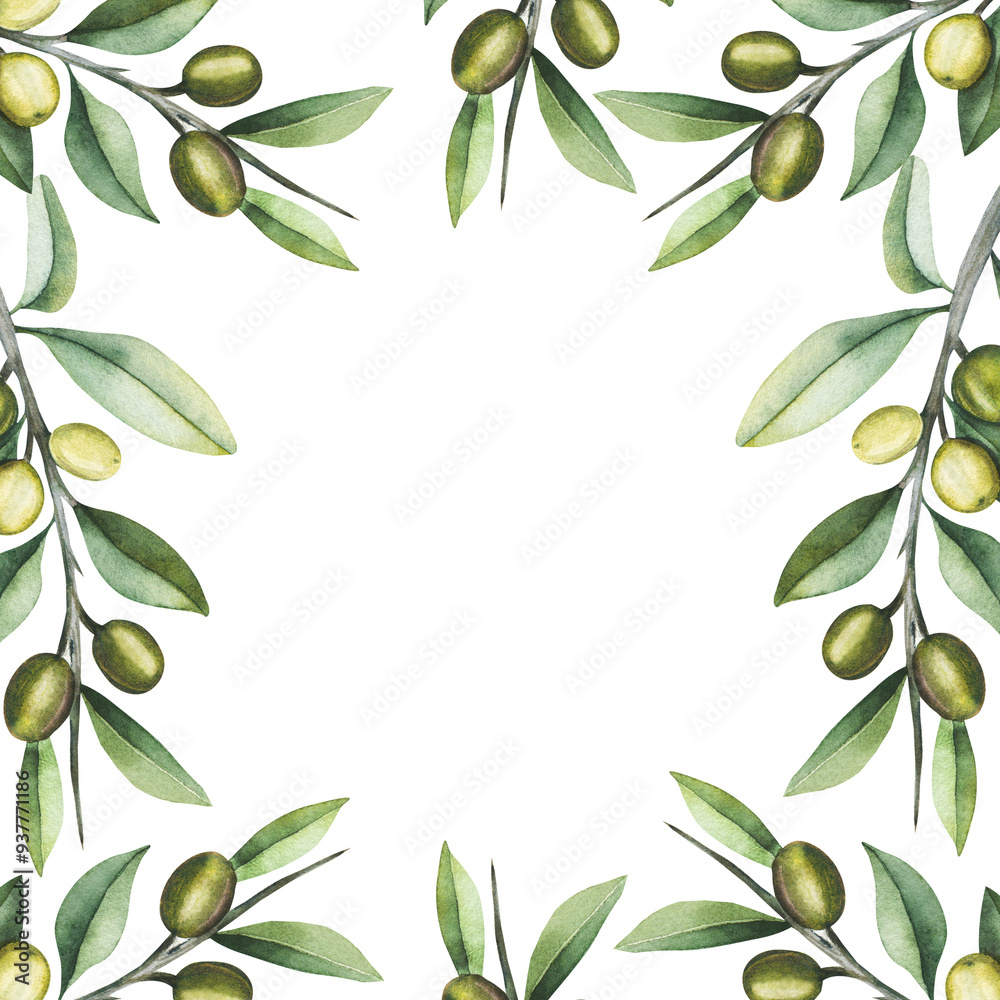 watercolor square frame with olive branches. watercolor square frame with olive branches.