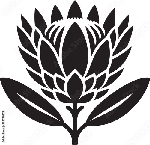 sketch of king protea flower black silhouette vector, Black and white flower