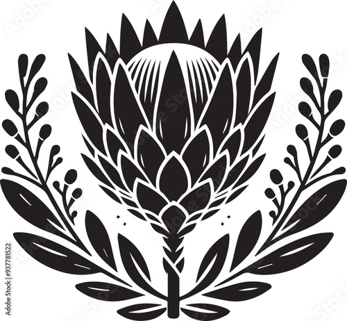 sketch of king protea flower black silhouette vector, Black and white flower