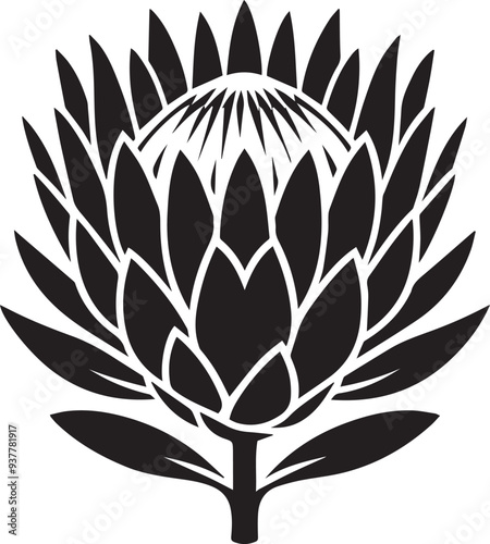 sketch of king protea flower black silhouette vector, Black and white flower