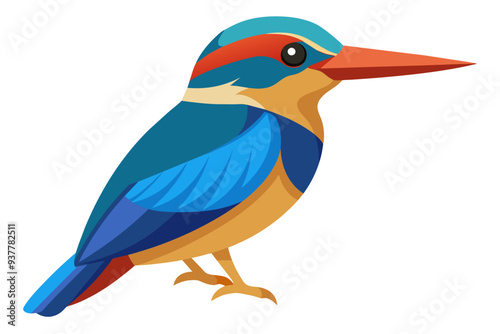 Oriental dwarf kingfisher vector art illustration 